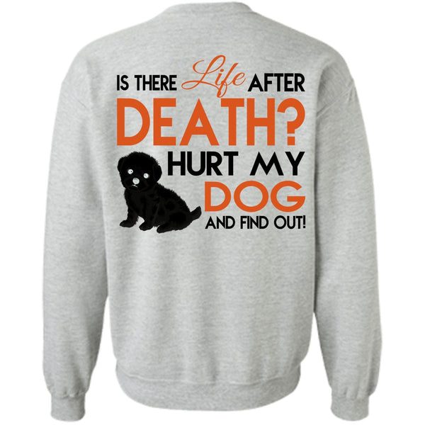 Favorite T Shirt, Hurt My Dog And Find Out Sweatshirt