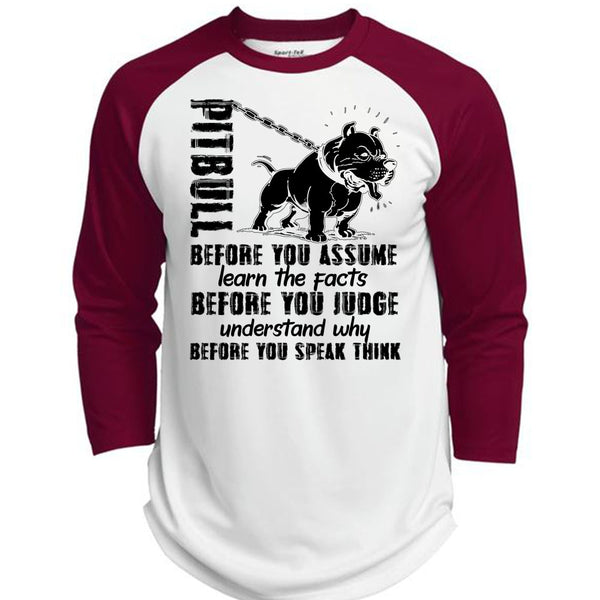 Pit Bull Before You Assume T Shirt, I Love Pit Bull T Shirt, Awesome T-Shirts  (Polyester Game Baseball Jersey)