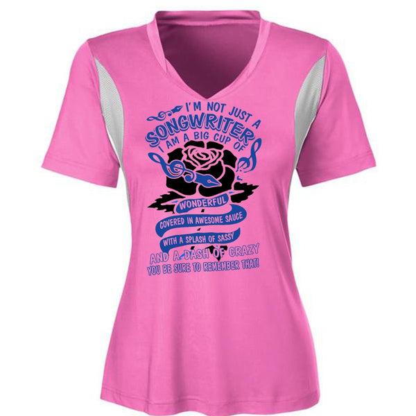 I'm Not Just A Songwriter T Shirt, I Love Writing T Shirt, Awesome T-Shirts