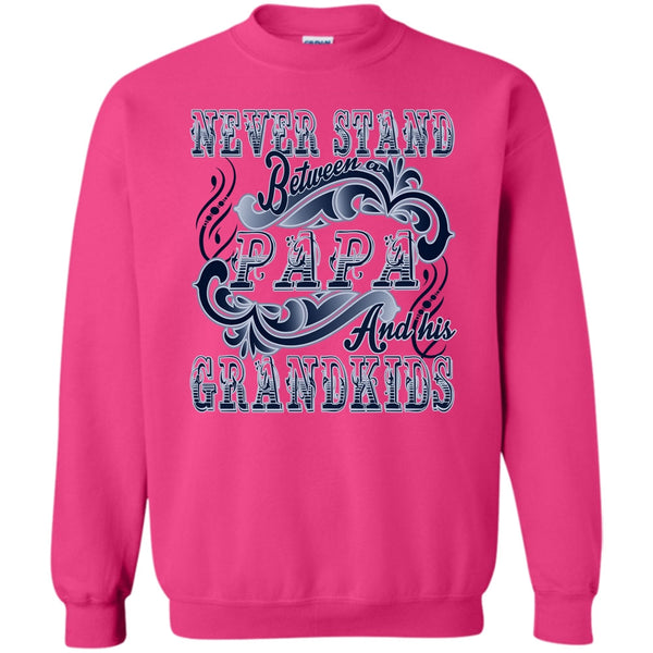 Coolest Papa T Shirt, Never Stand Between Sweatshirt