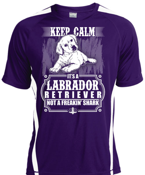 It's Labrador Retriever T Shirt, My Pets T Shirt, Cool Shirt
