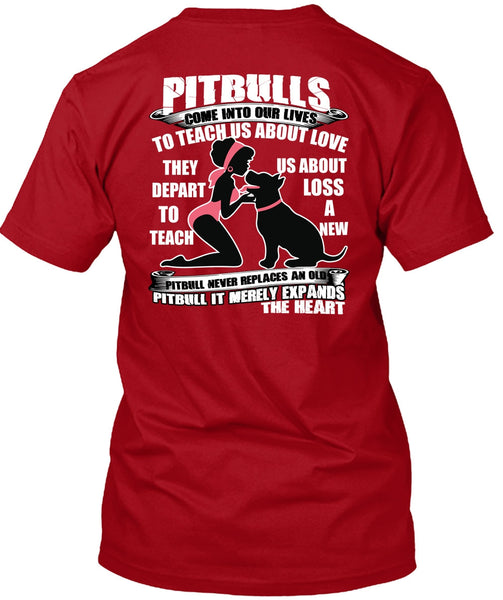 Pit Bulls Come Into Our Lives T Shirt, My Favorite T Shirt
