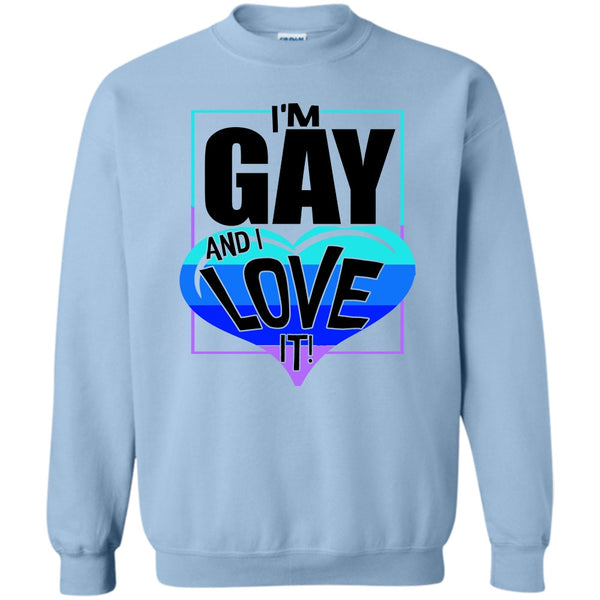 Gift For Gay T Shirt, I'm Gay And I Love It Sweatshirt