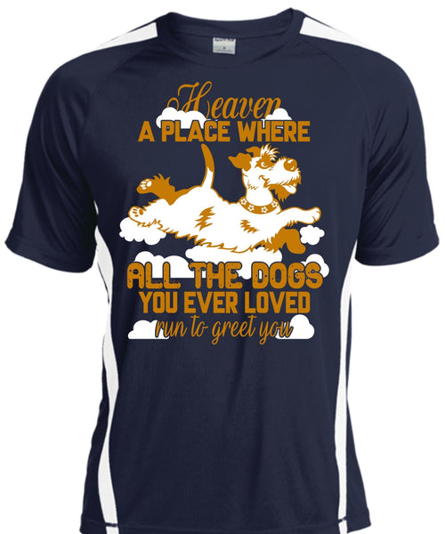 Heaven A Place Where All The Dogs T Shirt, Run To Greet You T Shirt, Cool Shirt