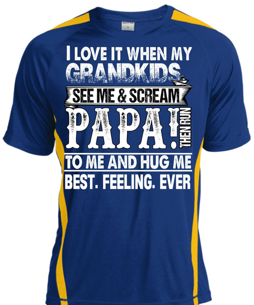 Grandkids See Me And Scream Papa T Shirt, Being A Papa T Shirt, Cool Shirt